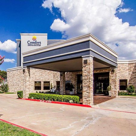 Comfort Inn & Suites Plano East Bagian luar foto